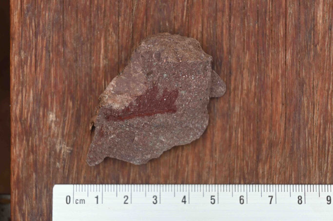 Abb. 3c: Schlecht erhaltenes Farnfragment