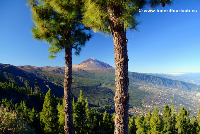 Mirador de Chipeque mit Blick auf den Pico del Teide