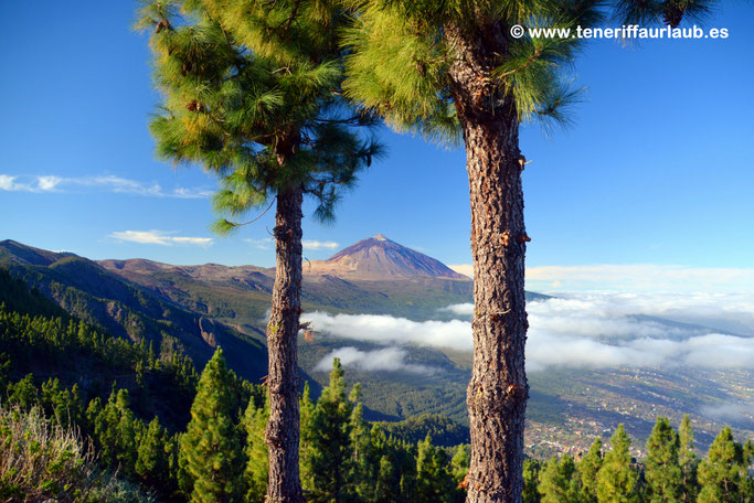 Mirador de Chipeque, Teneriffa Nordküste
