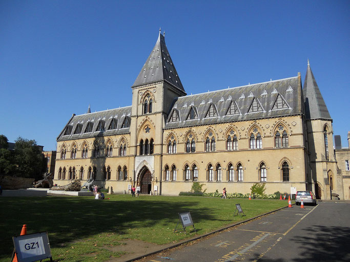 オックスフォード大学 自然史博物館