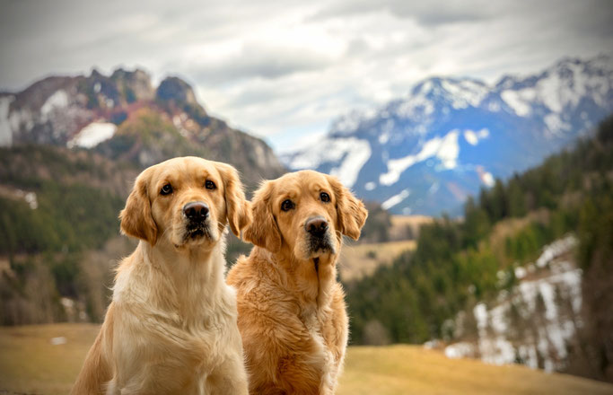 Flori & Mavie
