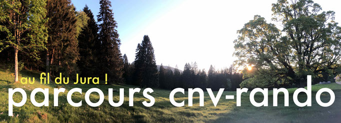 formation communication nonviolente en ligne parcours