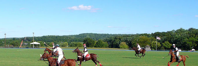 PATRICK NEIL. POLO PLAYERS AT GREAT MEADOW