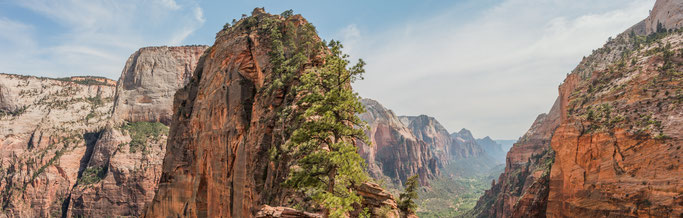 TYLER LEE. THE TIP OF ANGEL'S LANDING WITH THE ZION VALLEY IN THE BACKGROUND