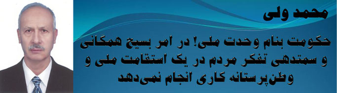 حقیقت ، محمد ولی: حکومت بنام وحدت ملی! در امر بسیج همگانی و سمتدهی تفکر مردم در یک استقامت ملی و وطن‌پرستانه کاری انجام نمی‌دهد
