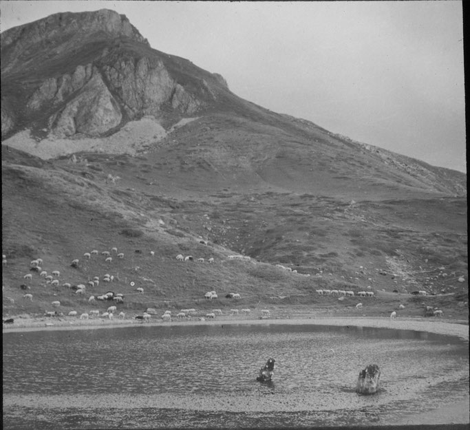 Markgraf - Korab - Stani i Shehit (1800 m)