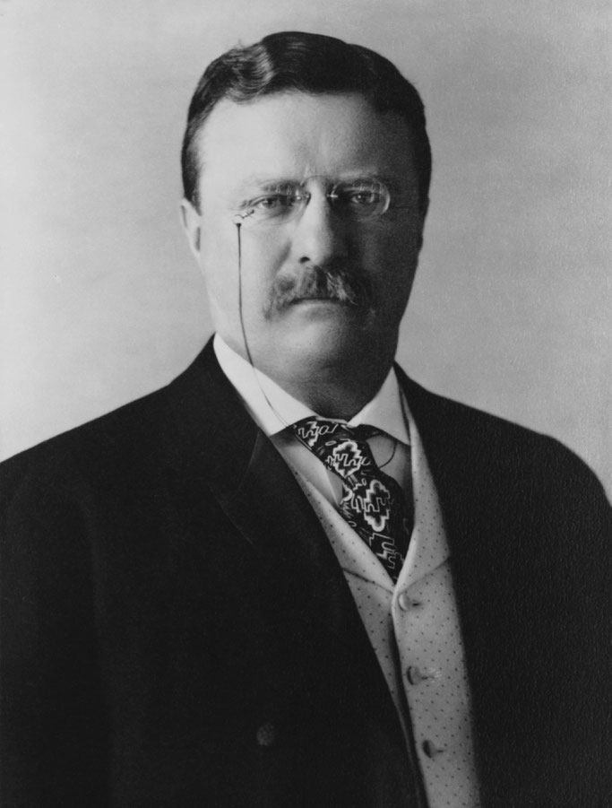 Presidenti Theodore Roosevelt 