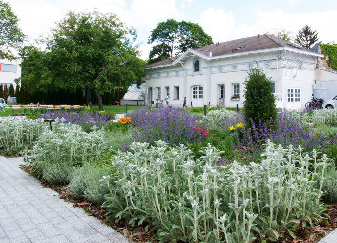 staudenbeet Gartenplanung 