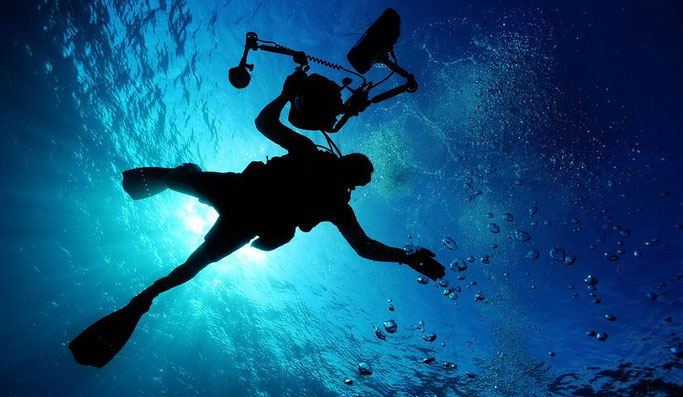 scuba-diving-tauchen-urlaub-curacao-ferienhaus-karibik