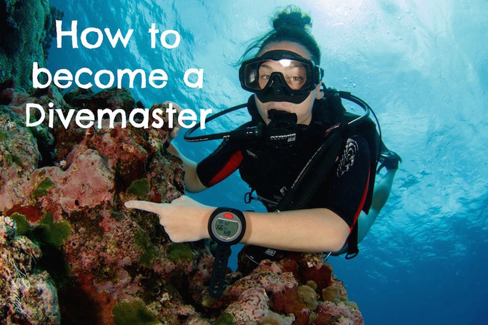 what do you need to be a dive master?