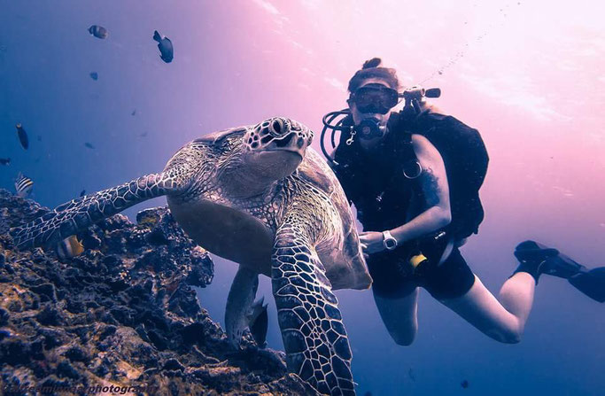 Scuba diving with Turtles on Gili T
