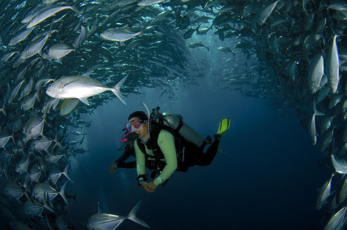best scuba diving in Asia