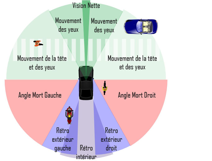Les angles morts chez les conducteurs : ce qu'ils sont et comment les  réduire - Omega Driving School Montreal