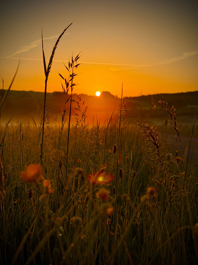 Heiler und Gesundbeter in der Eifel