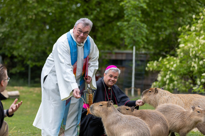 Tiere der Bibel: Das Capybara, das Wasserschwein, wurde stellvertretend für alle Tiere vom Paderborner Erzbischof Dr. Udo Markus Bentz und Bonifatiuswerk-Generalsekretär Monsignore Georg Austen gesegnet. Foto: Hartmut Salzmann