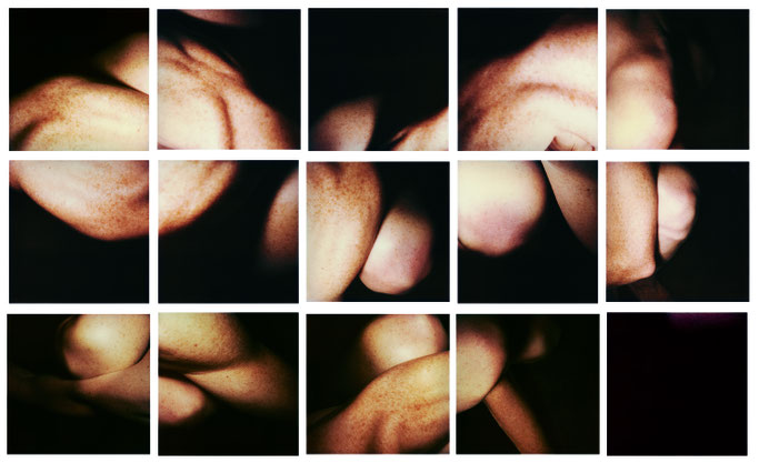 Hannah Villiger, "Block XXXVI", 1994, fünfzehn C-Prints, montiert auf Aluminium, 289 x 481 cm, Kunstmuseum St.Gallen, erworben vom Kunstverein St.Gallen 1996 © Stiftung THE ESTATE OF HANNAH VILLIGER 
