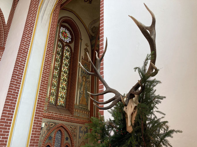 Für die Hubertusmessen werden die Kirchen mit Tannengrün und Hirschgeweih geschmückt. Foto: PEK / Sebastian Kühl