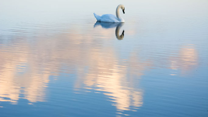 Foto: canva.com