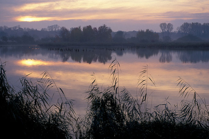 Foto: Michael Guist