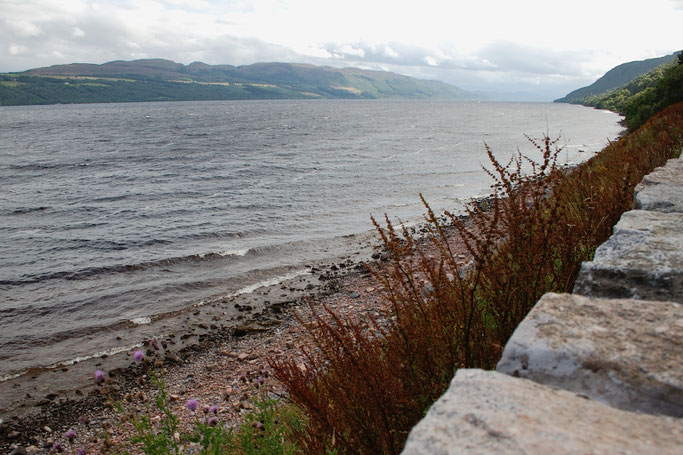 Urlaub in Schottland Teil 1 - Loch Ness - Zebraspider DIY Anti-Fashion Blog