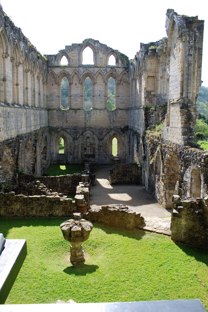 Rievaulx Abbey - Ruinen Fotos Teil 3 - Zebraspider DIY Anti-Fashion Blog