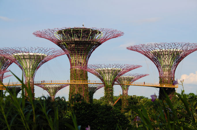 Genähte Kleinigkeit und große Reise - Singapur Gardens by the Bay Bäume - Zebraspider DIY Anti-Fashion Blog