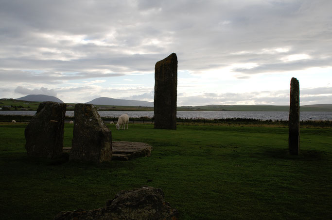 Urlaub Orkney Inseln - Steine von Stenness - Zebraspider DIY Anti-Fashion Blog