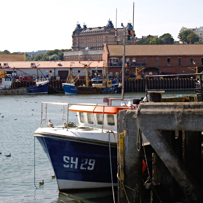 (M)ein Tag am Meer - Scarborough Hafen und Schloß - Zebraspider DIY Blog