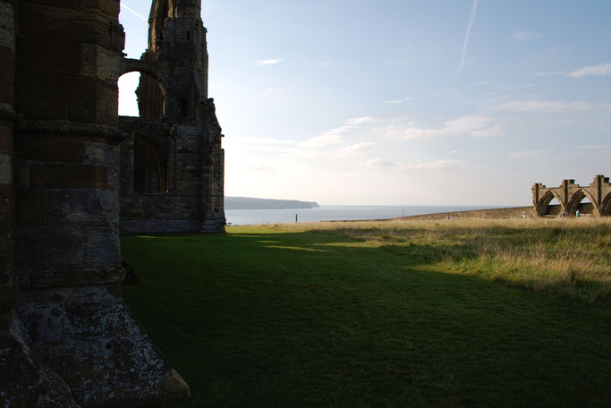 (M)ein Tag am Meer - Whitby Abbey Blick auf's Meer - Zebraspider DIY Blog