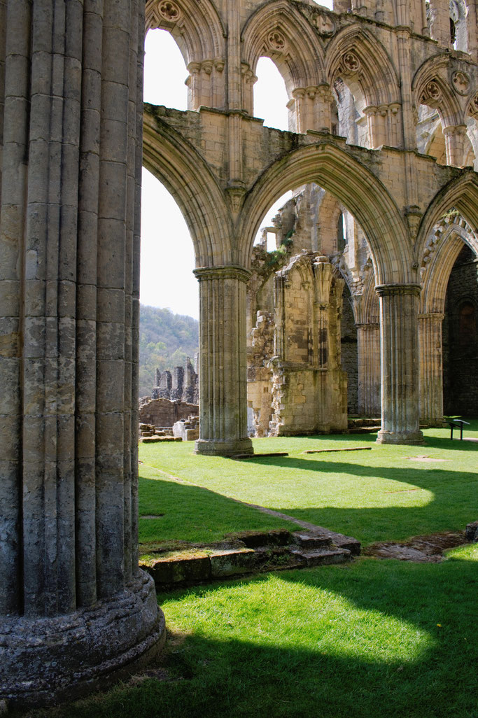 Rievaulx Abbey - Ruinen Fotos Teil 3 - Zebraspider DIY Anti-Fashion Blog