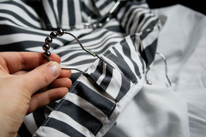 Zebravorhänge, Spinnennetz und Zimmerpflanzen - Zebraspider DIY Anti