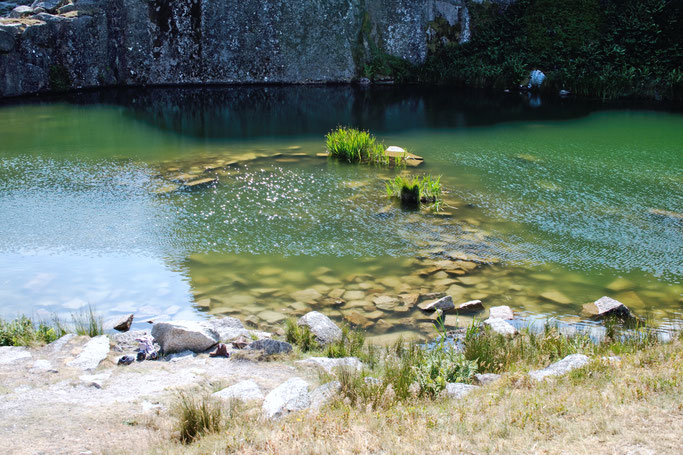 Dartmoor Quarry - Steinbruch See Fotos - Zebraspider DIY Anti-Fashion Blog