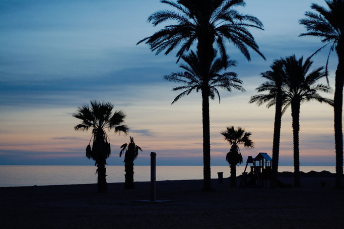 Weihnachten in Andalusien (viele Fotos) - Sonnenunergang am Strand mit Palmen - Zebraspider DIY Anti-Fashion Blog