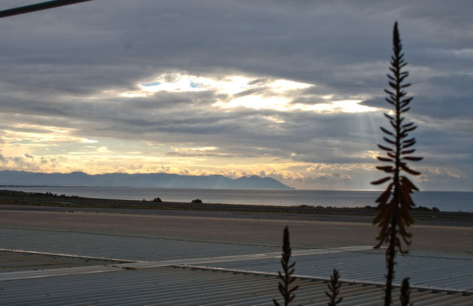 Weihnachten in Andalusien (viele Fotos) - Flughafen Almeria - Zebraspider DIY Anti-Fashion Blog