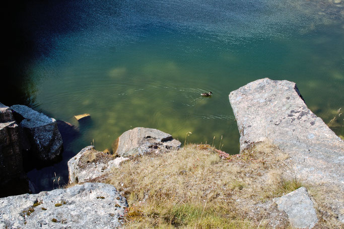 Dartmoor Quarry - Steinbruch See - Zebraspider DIY Anti-Fashion Blog