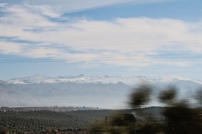 Ein Tag in Granada (ohne Alhambra) - Sierra Nevada mit Schnee - Zebraspider DIY Anti-Fashion Blog