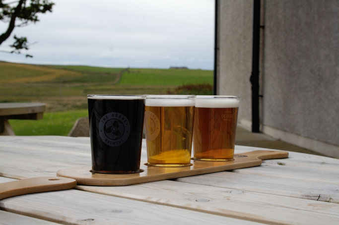 Urlaub Orkney Inseln - Brauerei Bierverkostung - Zebraspider DIY Anti-Fashion Blog