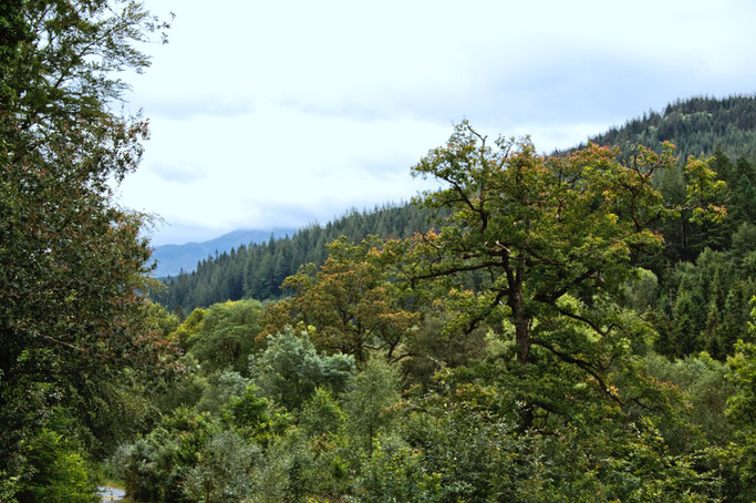 Zum Urlaub nach Cornwall - Snowdonia Nationalpark - Zebraspider DIY Anti-Fashion Blog