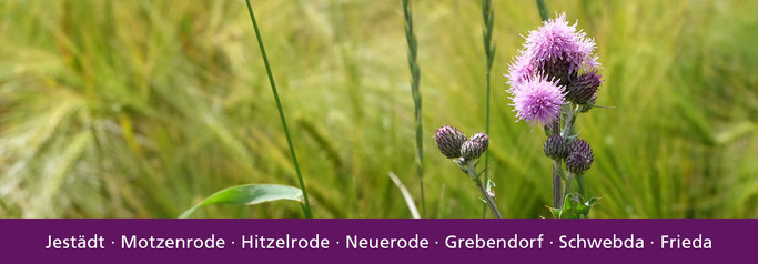 Foto: Sommereinzug/Bernd Hampel