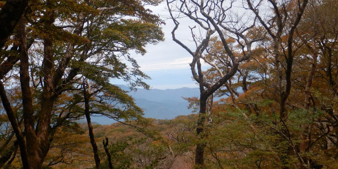駿河灘をのぞむ