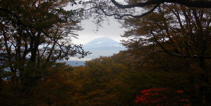 白砂天井より富士山