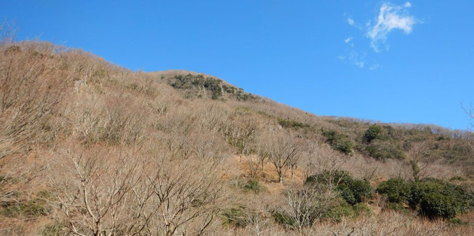 幕山と湯河原梅園