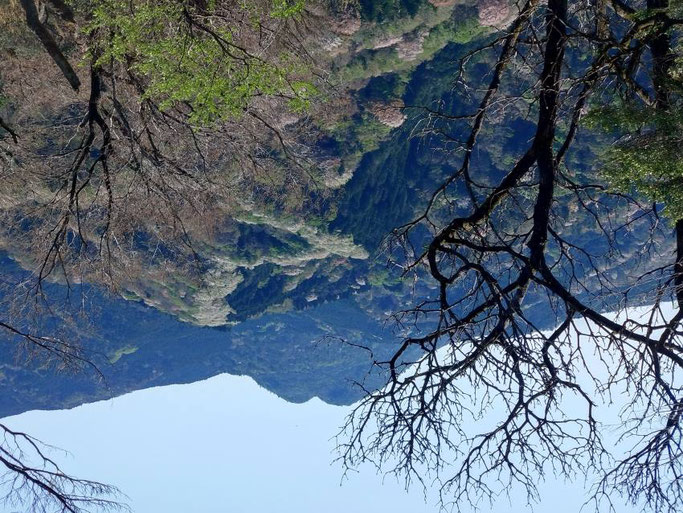 間の山山頂より