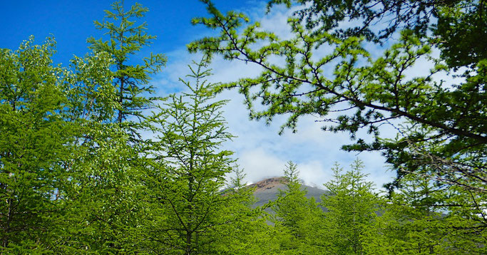 宝永山