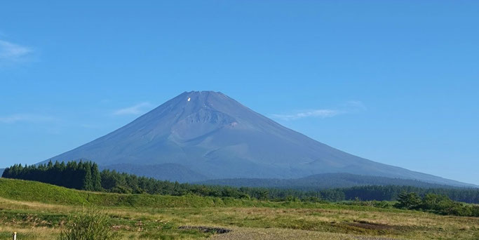 須山より