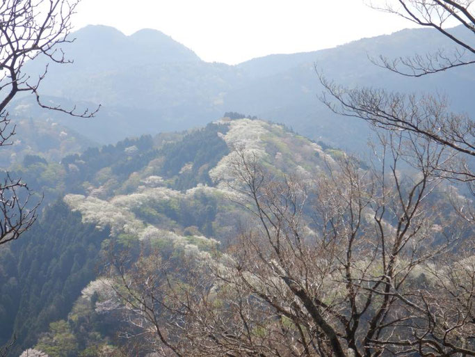 間の山より