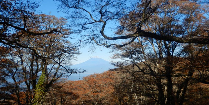 白砂天井より