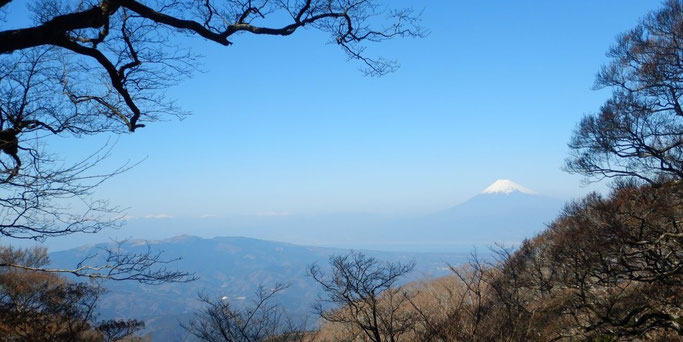 白砂天井より