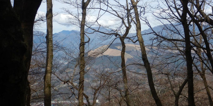 大野山