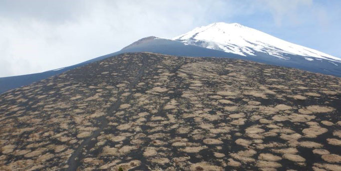 手前から二ツ塚上塚、宝永火口、富士山頂